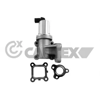 Vanne EGR CAUTEX OEM 284104A470