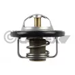 CAUTEX 772124 - Thermostat, liquide de refroidissement