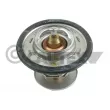 CAUTEX 772125 - Thermostat, liquide de refroidissement