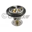 CAUTEX 772126 - Thermostat, liquide de refroidissement