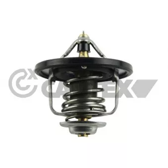 Thermostat, liquide de refroidissement CAUTEX OEM 11537791072