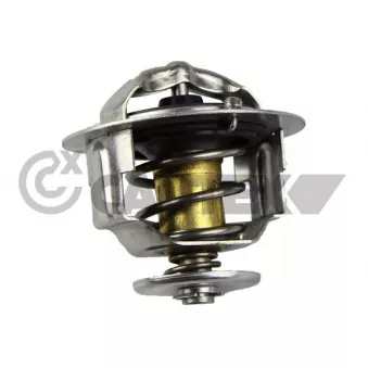 Thermostat, liquide de refroidissement CAUTEX OEM 21200EA000