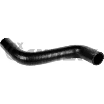 CAUTEX 772352 - Durite de radiateur