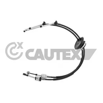 Tirette à câble, boîte de vitesse manuelle CAUTEX OEM 2444CY