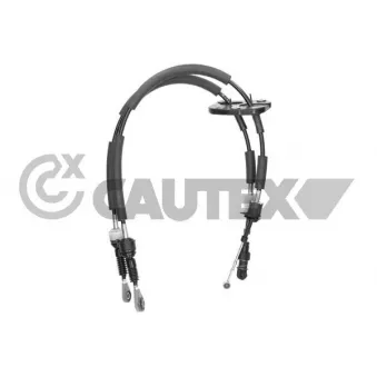 Tirette à câble, boîte de vitesse manuelle CAUTEX OEM 55241305