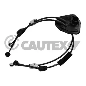 CAUTEX 772640 - Tirette à câble, boîte de vitesse manuelle