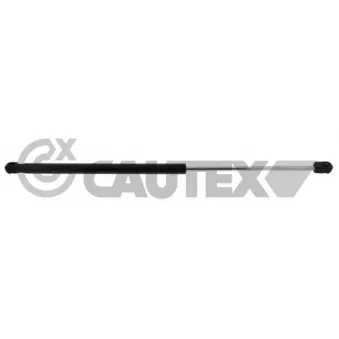 Vérin, vitre arrière CAUTEX 772729 pour RENAULT MEGANE 1.6 Flex-Fuel - 105cv