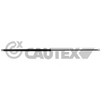CAUTEX 772843 - Vérin, capot-moteur