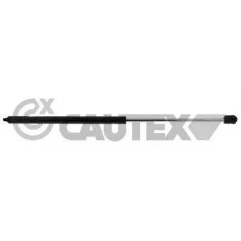 Vérin, capot-moteur CAUTEX OEM A1648800029