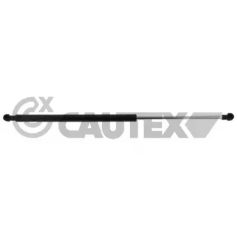 CAUTEX 773310 - Vérin de hayon, de coffre