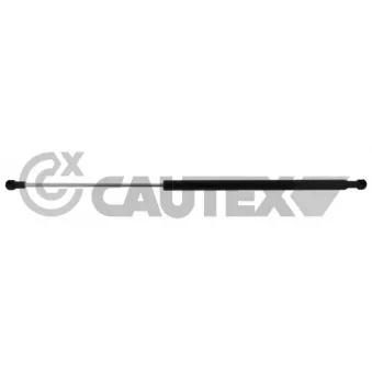 Vérin, vitre arrière CAUTEX 773421