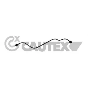 CAUTEX 773529 - Durite de radiateur