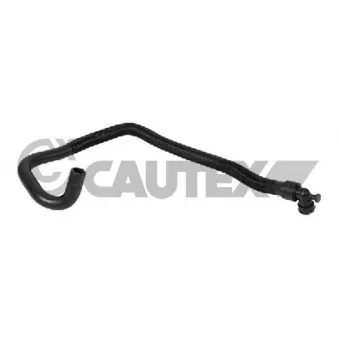 CAUTEX 773553 - Durite de radiateur