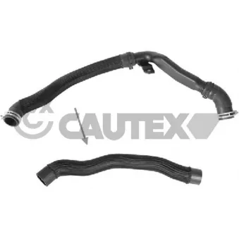 Durite de radiateur CAUTEX 773567