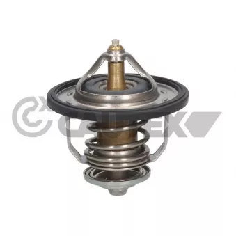 Thermostat, liquide de refroidissement CAUTEX OEM 2550027000