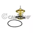 Thermostat, liquide de refroidissement CAUTEX [774593]
