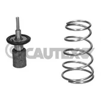 Thermostat, liquide de refroidissement CAUTEX OEM 1767073K01