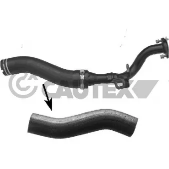 Durite de radiateur CAUTEX OEM 51915410