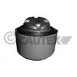 CAUTEX 774877 - Support moteur