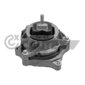 Support moteur CAUTEX OEM 22116859413
