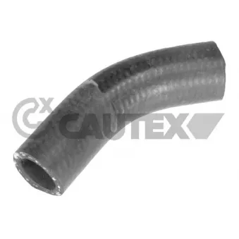 CAUTEX 775402 - Durite de radiateur
