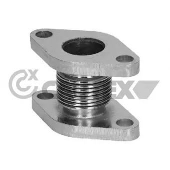 Durite de radiateur CAUTEX OEM 504155826