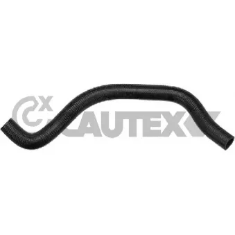 CAUTEX 775818 - Durite de radiateur