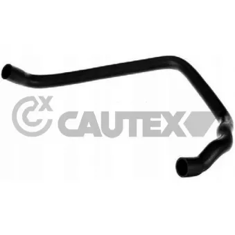CAUTEX 775939 - Durite de radiateur