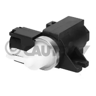 CAUTEX 776008 - Capteur de pression, turbocompresseur