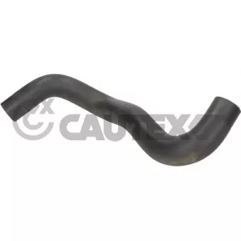 CAUTEX 776472 - Durite de radiateur