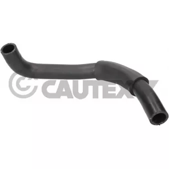 CAUTEX 776503 - Durite de radiateur
