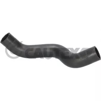 CAUTEX 776515 - Durite de radiateur