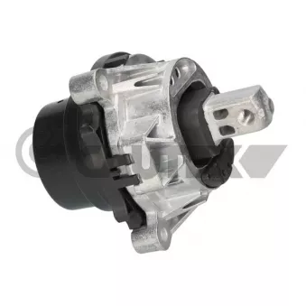 CAUTEX 776534 - Support moteur