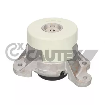 Support moteur avant droit CAUTEX [776541]