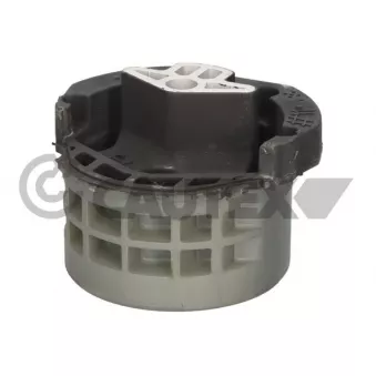 CAUTEX 776584 - Suspension, boîte automatique