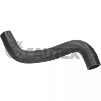 CAUTEX 776607 - Durite de radiateur