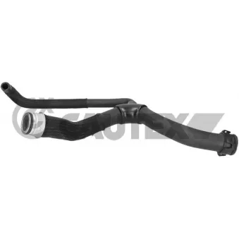 CAUTEX 776623 - Durite de radiateur