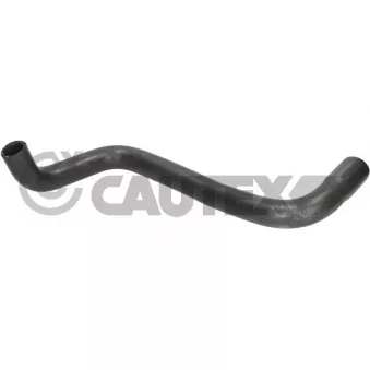 CAUTEX 776685 - Durite de radiateur