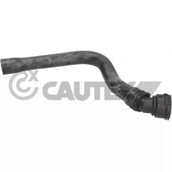 CAUTEX 776713 - Durite de radiateur