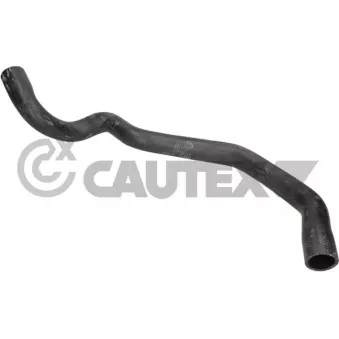 CAUTEX 776717 - Durite de radiateur