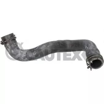 CAUTEX 776741 - Durite de radiateur