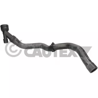 CAUTEX 776782 - Durite de radiateur