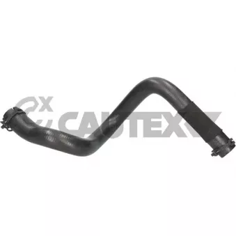 CAUTEX 776796 - Durite de radiateur