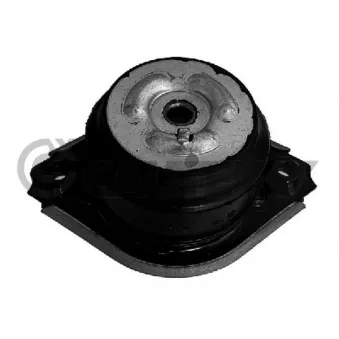 CAUTEX 776809 - Support moteur