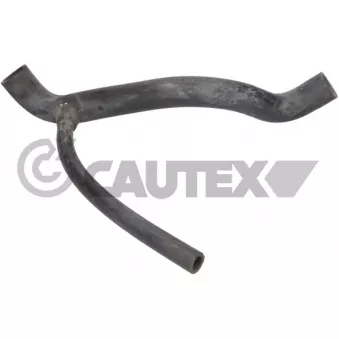 CAUTEX 776825 - Durite de radiateur