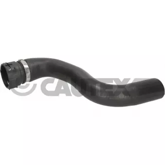 CAUTEX 776840 - Durite de radiateur