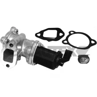 Vanne EGR, commande des gaz d'échappement CAUTEX OEM 55204941