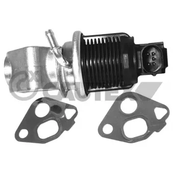 Vanne EGR CAUTEX OEM 036131503T