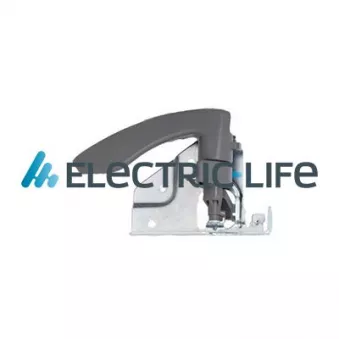 Poignet de porte, équipment intérieur ELECTRIC LIFE ZR60383