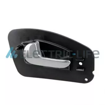 Poignet de porte, équipment intérieur arrière gauche ELECTRIC LIFE ZR6089106